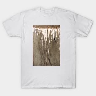 Leaking concrete 20 T-Shirt